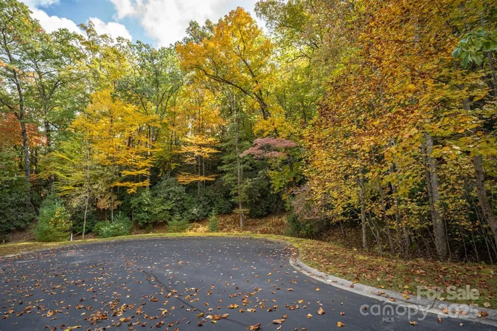 99999 Shining Rock Path Horse Shoe, NC 28742