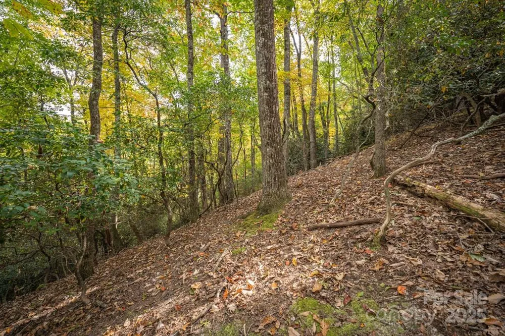 99999 Shining Rock Path Horse Shoe, NC 28742