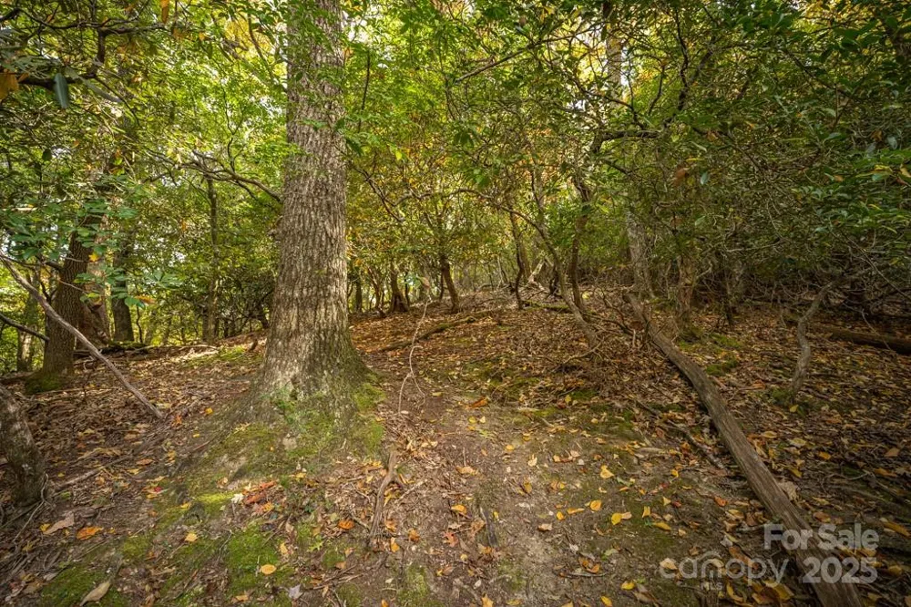 99999 Shining Rock Path Horse Shoe, NC 28742