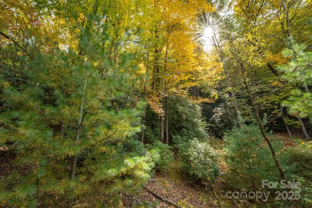 99999 Shining Rock Path Horse Shoe, NC 28742