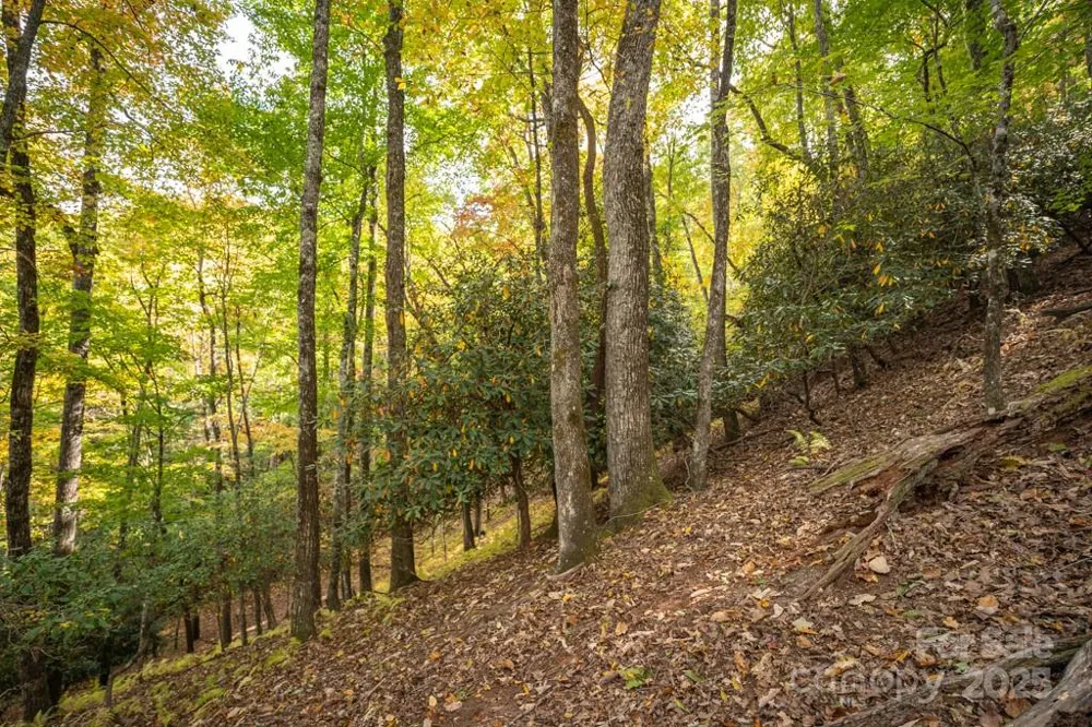 99999 Shining Rock Path Horse Shoe, NC 28742
