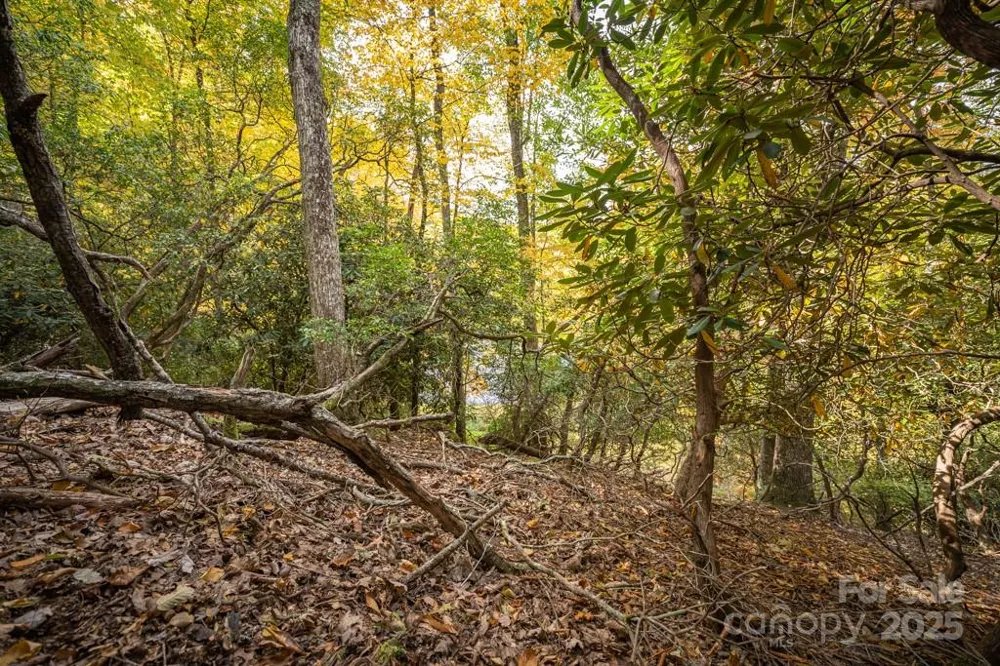 99999 Shining Rock Path Horse Shoe, NC 28742