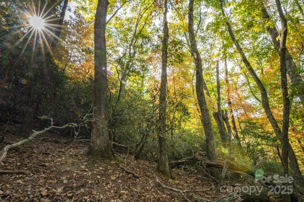 99999 Shining Rock Path Horse Shoe, NC 28742