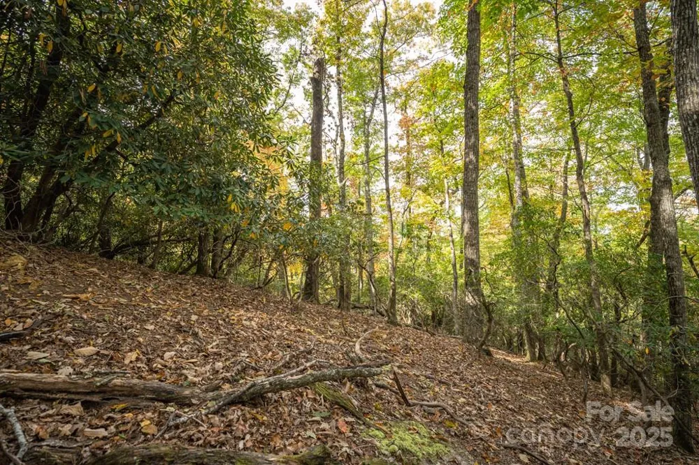 99999 Shining Rock Path Horse Shoe, NC 28742