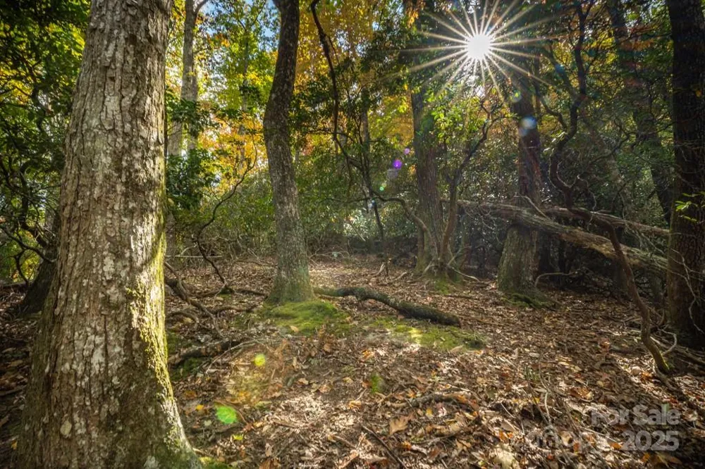 99999 Shining Rock Path Horse Shoe, NC 28742