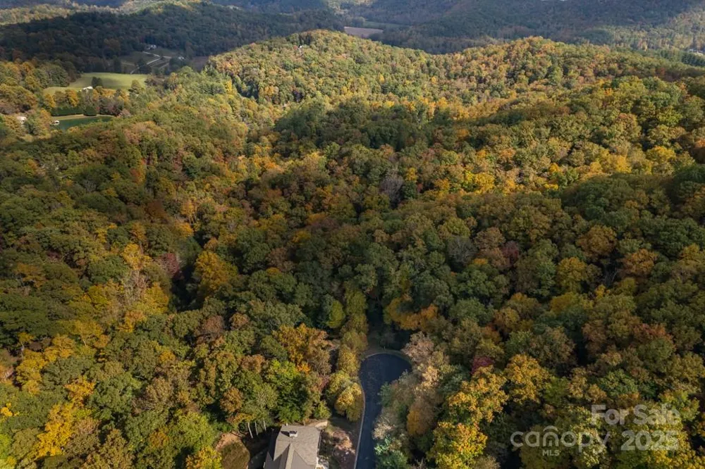 99999 Shining Rock Path Horse Shoe, NC 28742