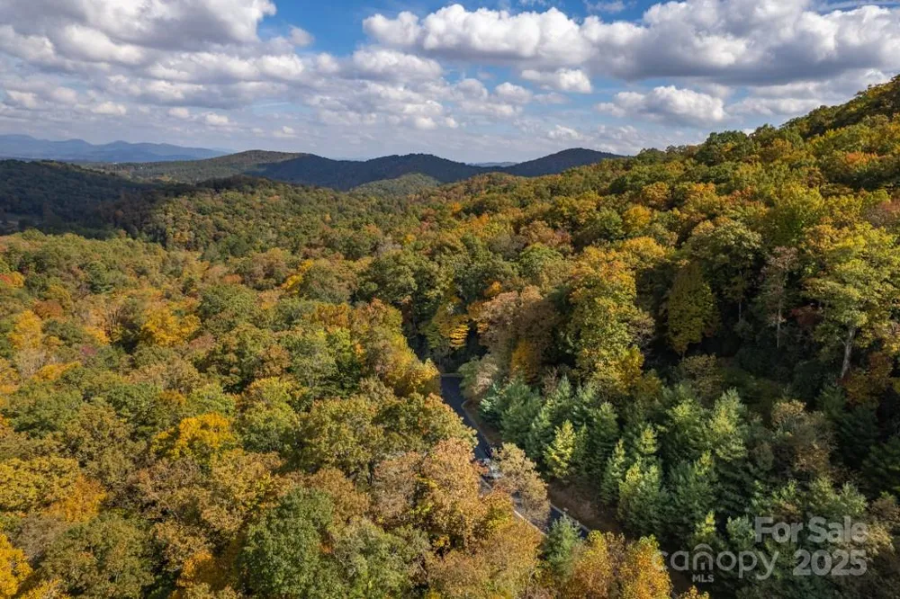 99999 Shining Rock Path Horse Shoe, NC 28742