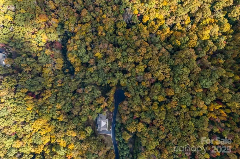 99999 Shining Rock Path Horse Shoe, NC 28742