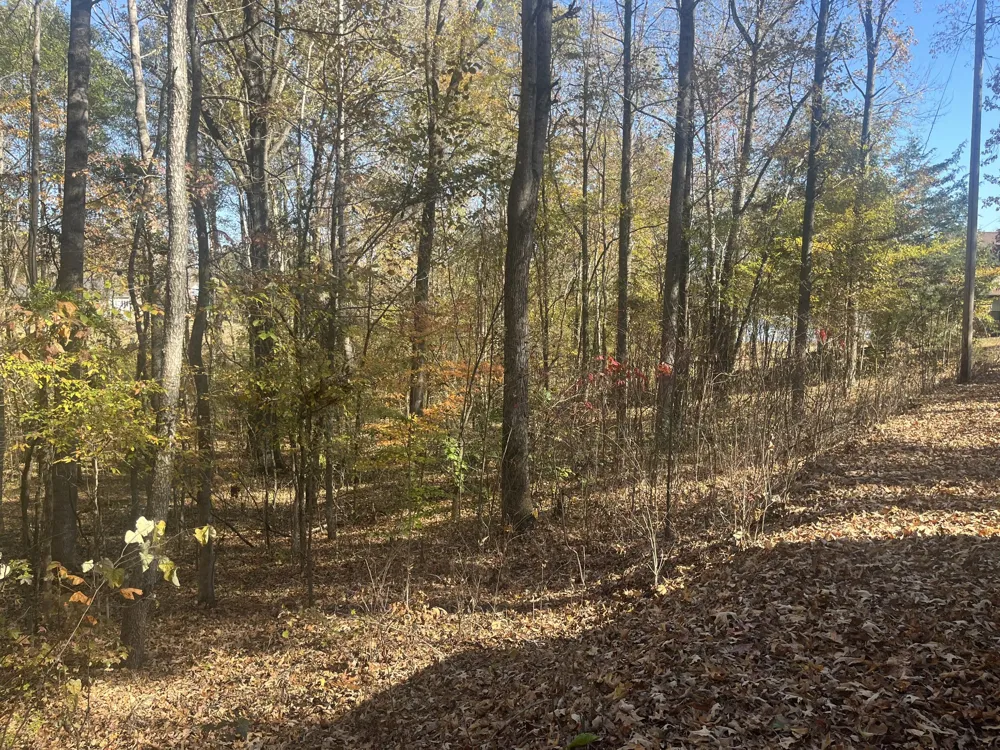 0 Indian Park Dr Parsons, TN 38363
