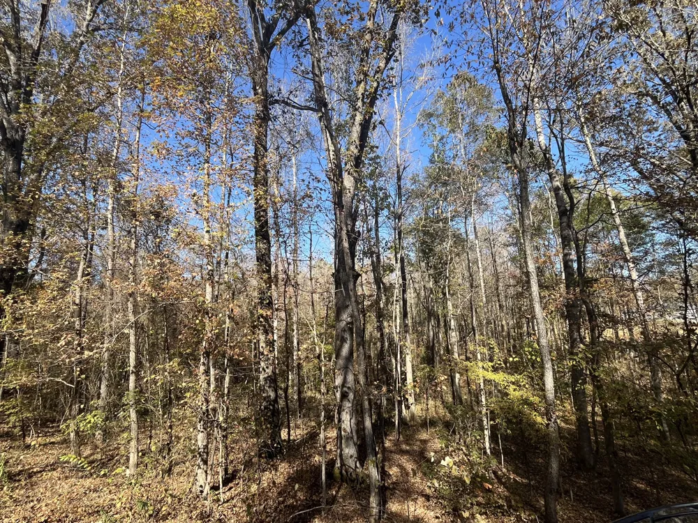 0 Indian Park Dr Parsons, TN 38363