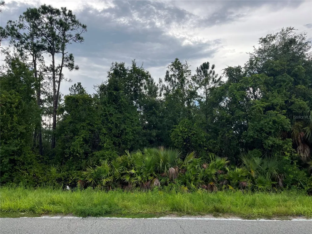 6883 ST JOHNS AVENUE Palatka, FL 32177