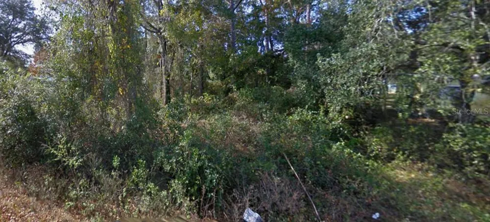 SE 172ND AVENUE Silver Springs, FL 34488