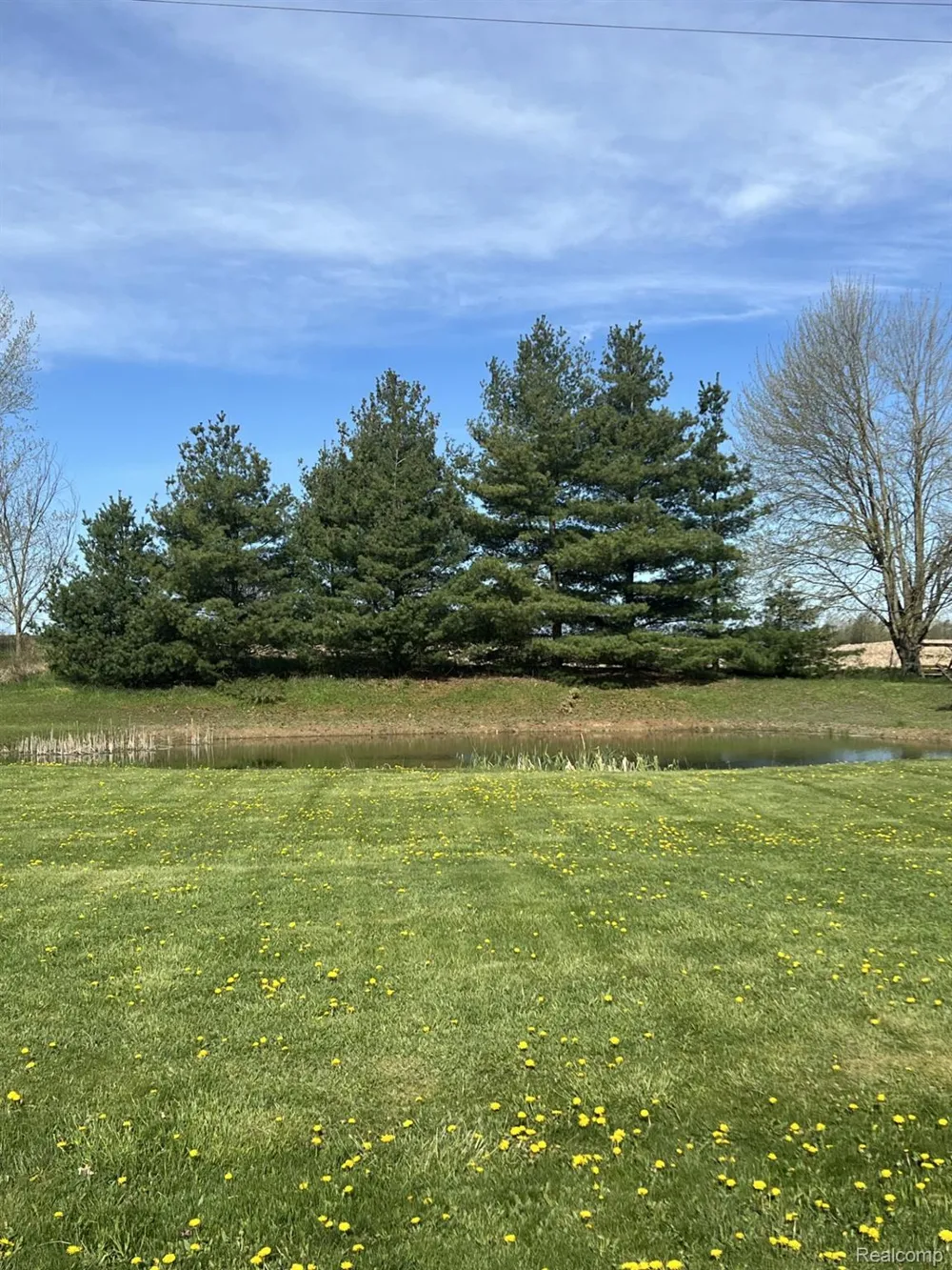 6241 Barnes Road Brown City City, MI 48416