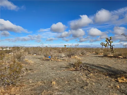 Palmdale Rd 3100-531-01