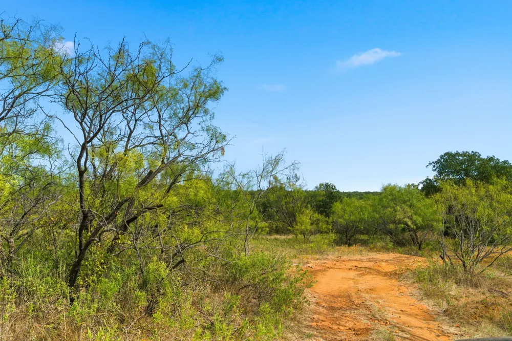 Hwy 16 N Graham, TX 76450