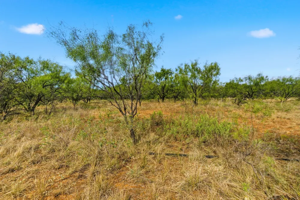 Hwy 16 N Graham, TX 76450