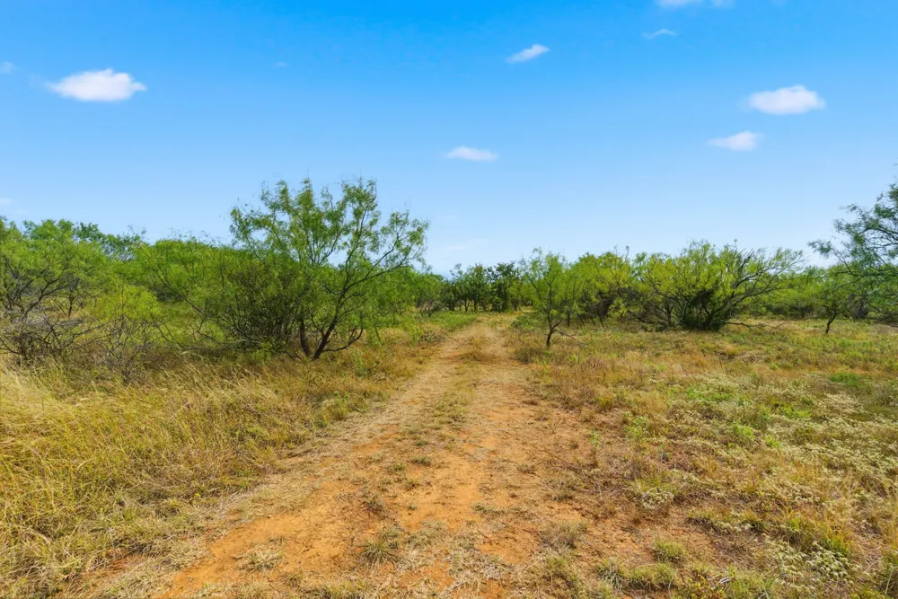 Hwy 16 N Graham, TX 76450