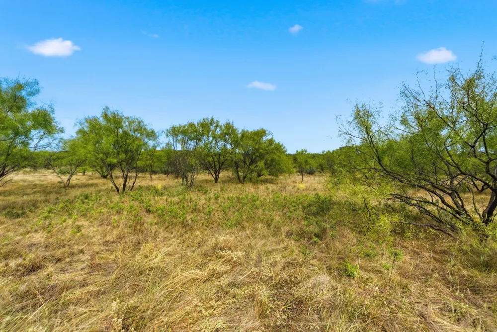 Hwy 16 N Graham, TX 76450