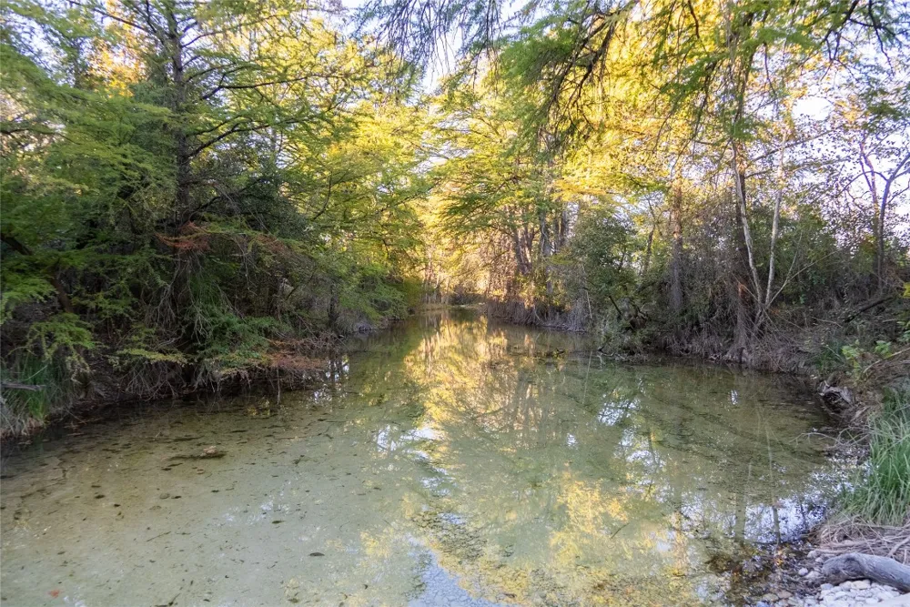 358 Cornelius Road Utopia, TX 78885