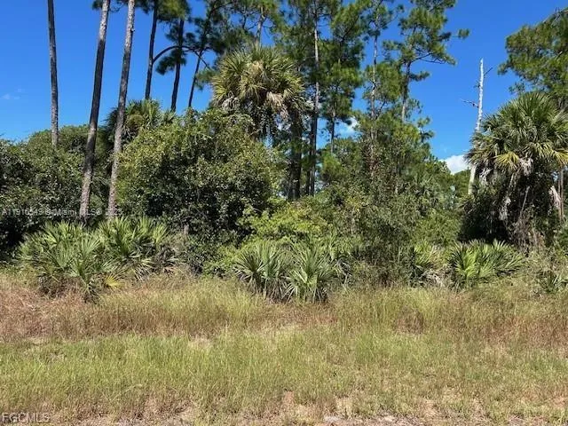 675 NASSAU CIR La Belle, FL 33935