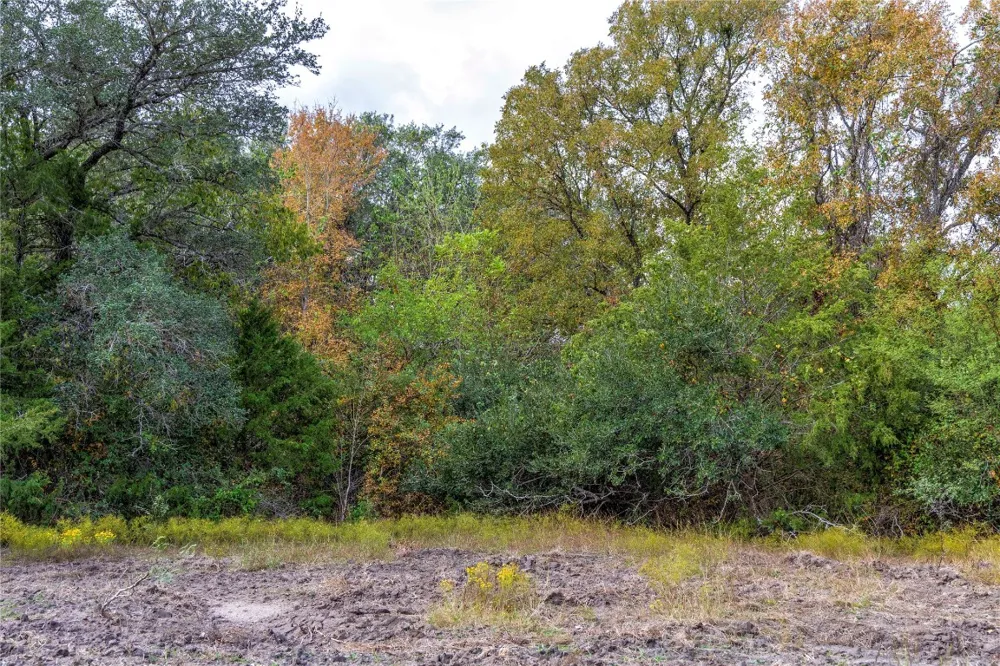 1250 Ladewig Lane Schulenburg, TX 78956
