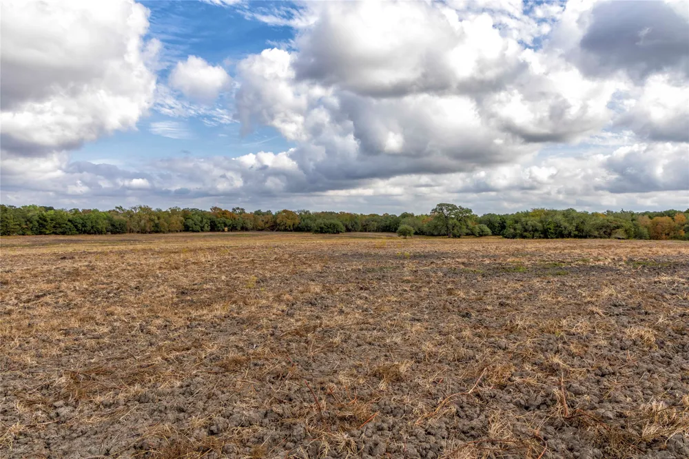 1250 Ladewig Lane Schulenburg, TX 78956