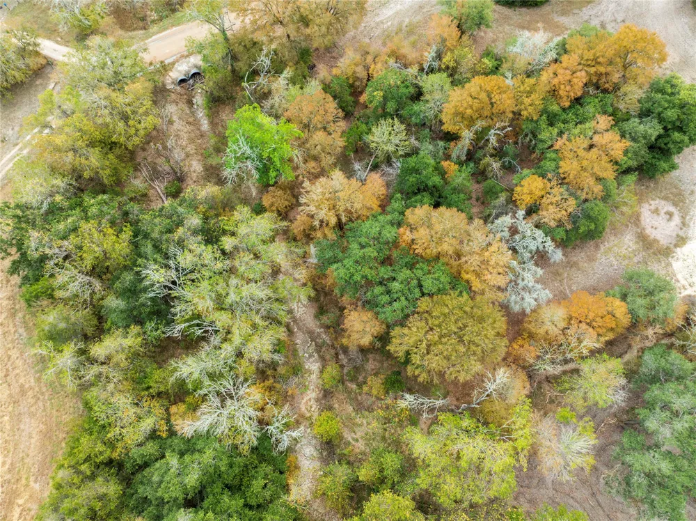 1250 Ladewig Lane Schulenburg, TX 78956