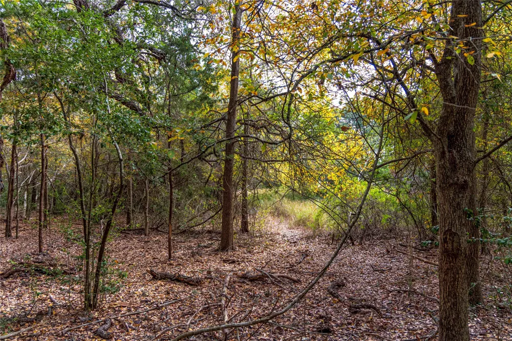 1250 Ladewig Lane Schulenburg, TX 78956