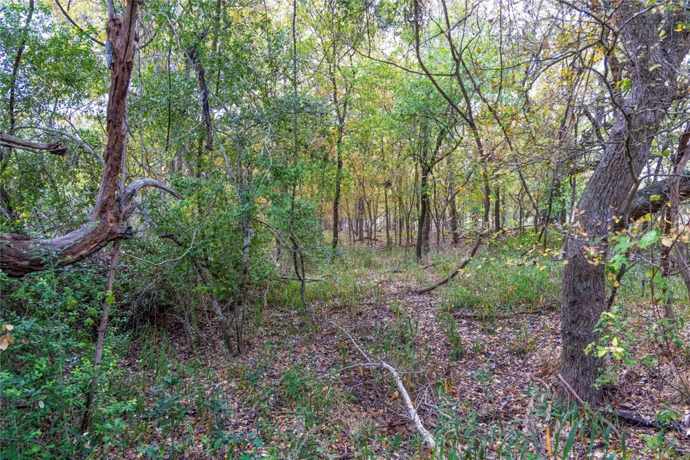 1250 Ladewig Lane Schulenburg, TX 78956