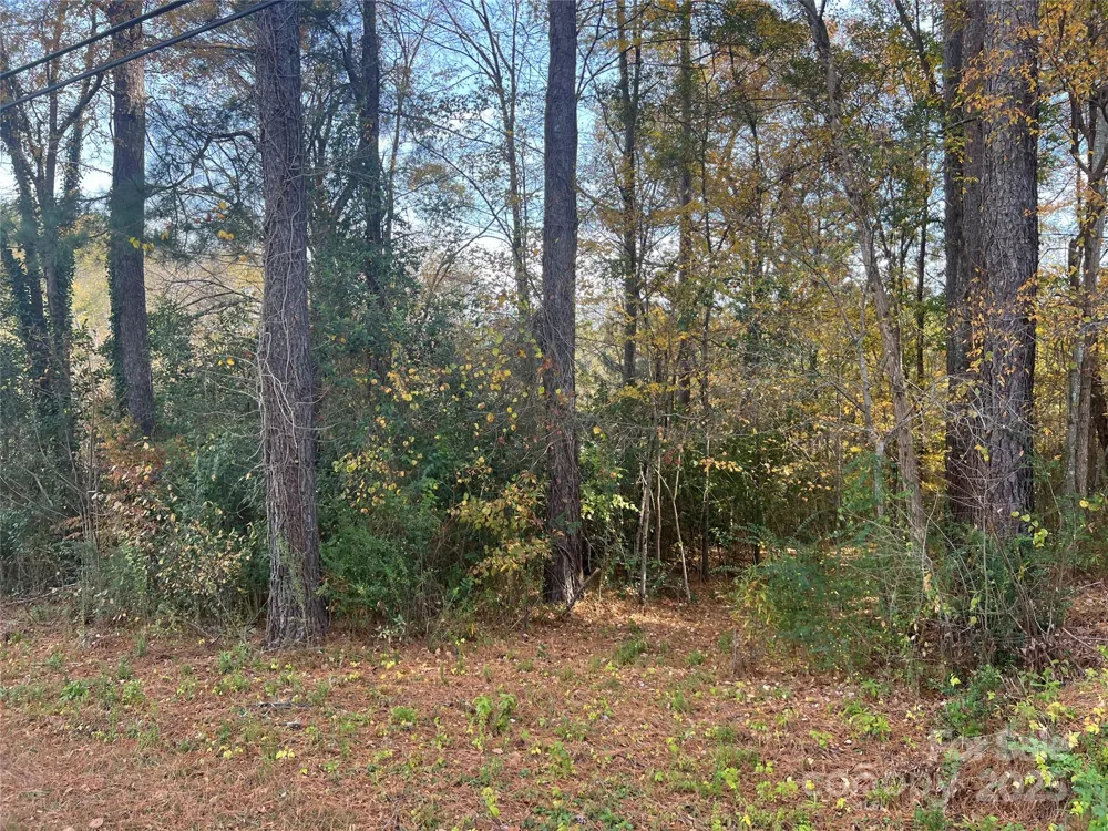 0 Alexander Street Dallas, NC 28034