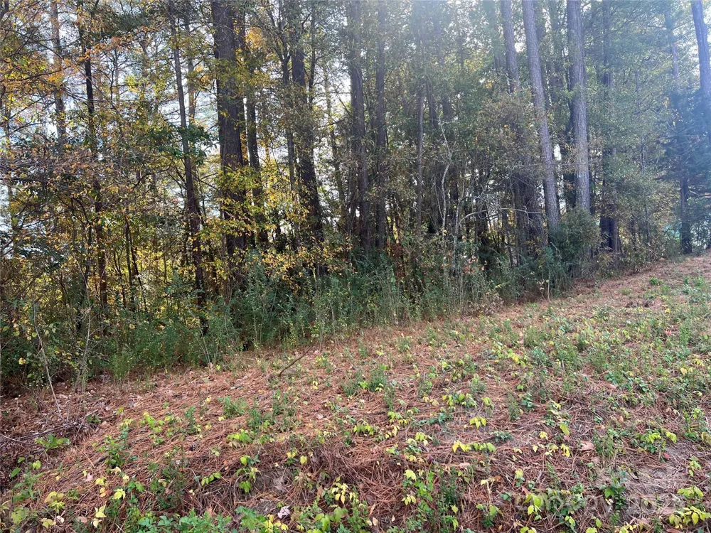 0 Alexander Street Dallas, NC 28034