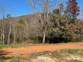 418 owl Hollow Road Marion, NC 28752