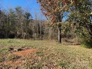 418 owl Hollow Road Marion, NC 28752