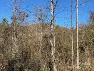 418 owl Hollow Road Marion, NC 28752