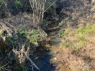 418 owl Hollow Road Marion, NC 28752