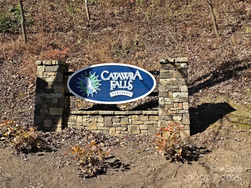295 S Feather Falls Trail #50 Black Mountain, NC 28711