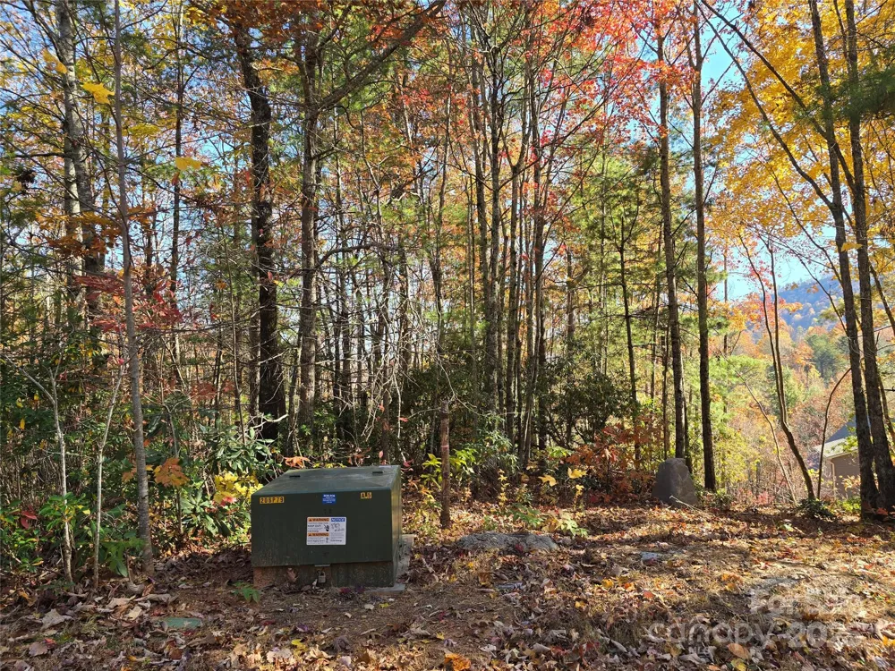 295 S Feather Falls Trail #50 Black Mountain, NC 28711