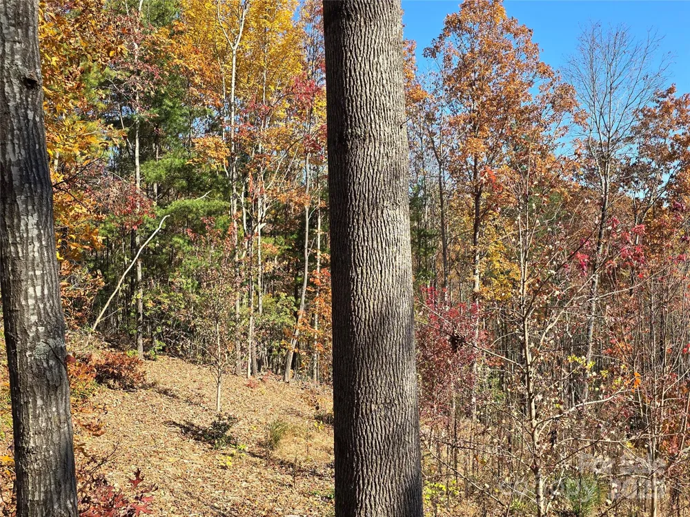 295 S Feather Falls Trail #50 Black Mountain, NC 28711