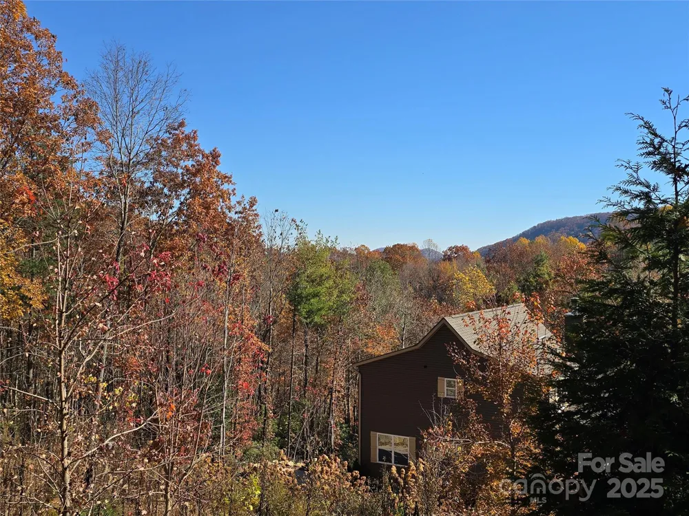 295 S Feather Falls Trail #50 Black Mountain, NC 28711