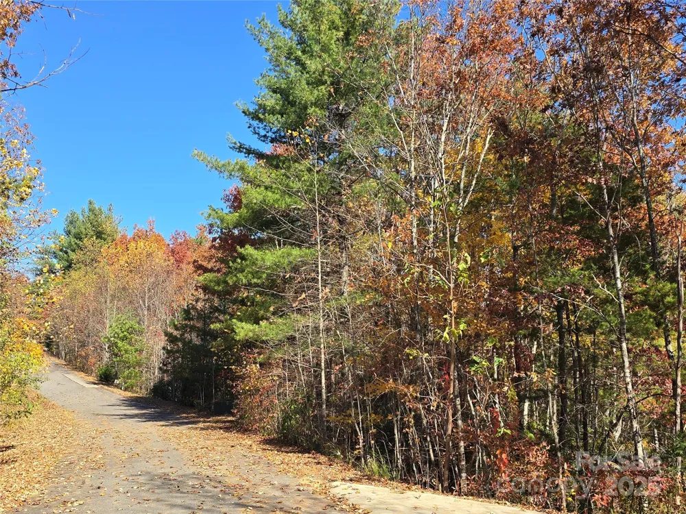 295 S Feather Falls Trail #50 Black Mountain, NC 28711