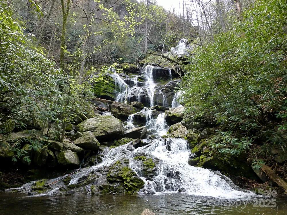 295 S Feather Falls Trail #50 Black Mountain, NC 28711