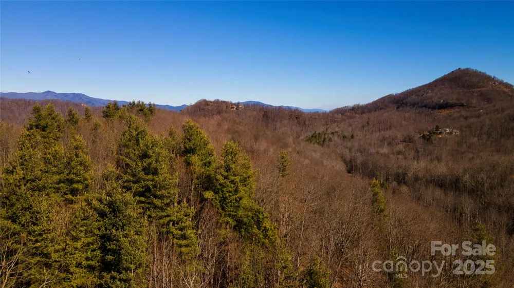 295 S Feather Falls Trail #50 Black Mountain, NC 28711