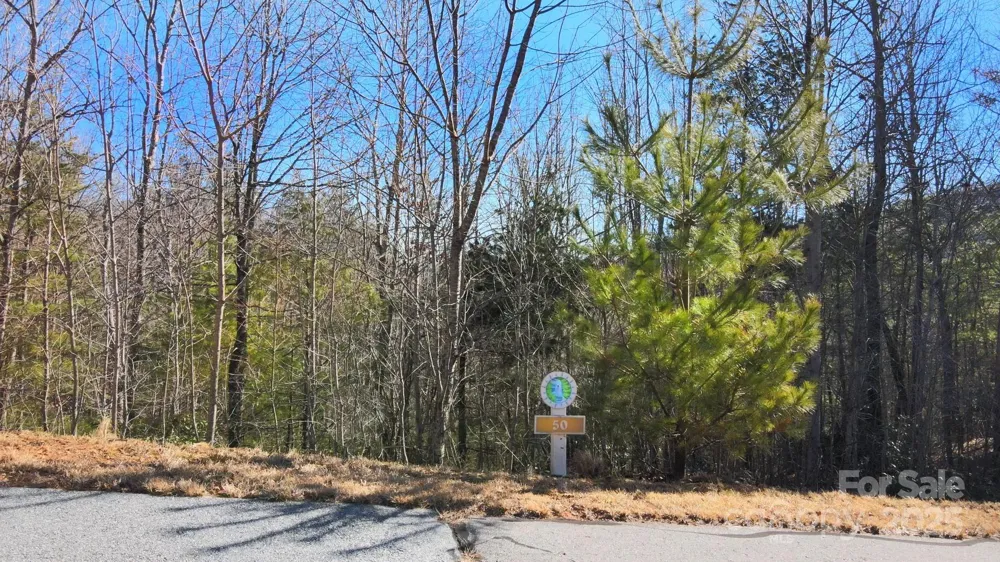 295 S Feather Falls Trail #50 Black Mountain, NC 28711