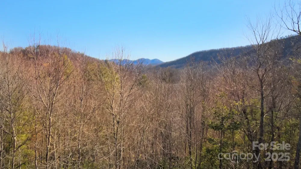 295 S Feather Falls Trail #50 Black Mountain, NC 28711
