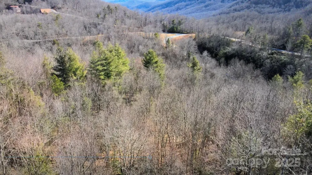 295 S Feather Falls Trail #50 Black Mountain, NC 28711