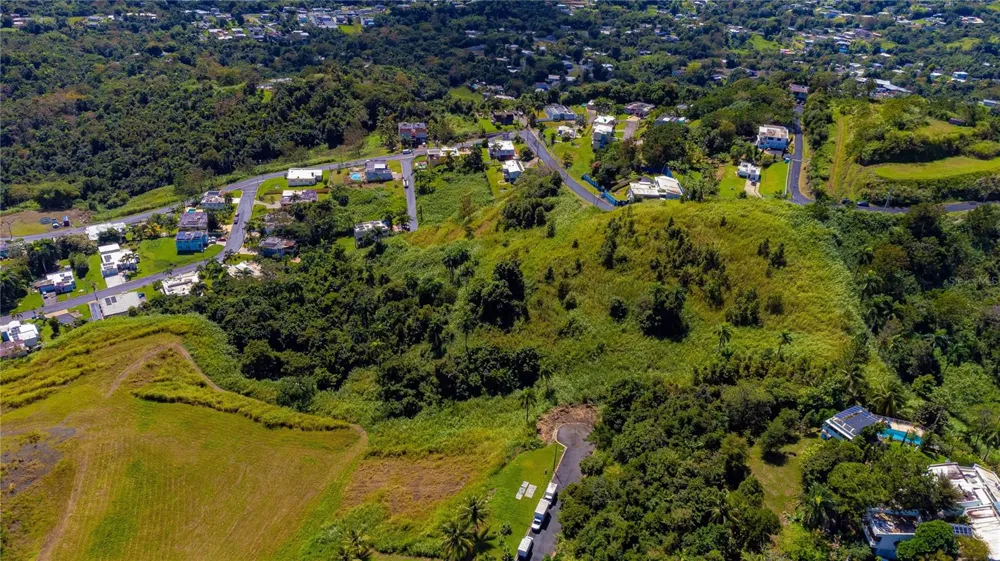 BO. MINILLAS CAMINO PABLO SILVA Bayamón, PR 00956
