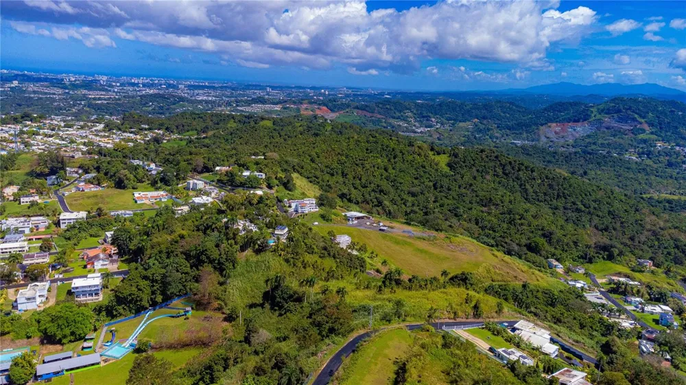 BO. MINILLAS CAMINO PABLO SILVA Bayamón, PR 00956