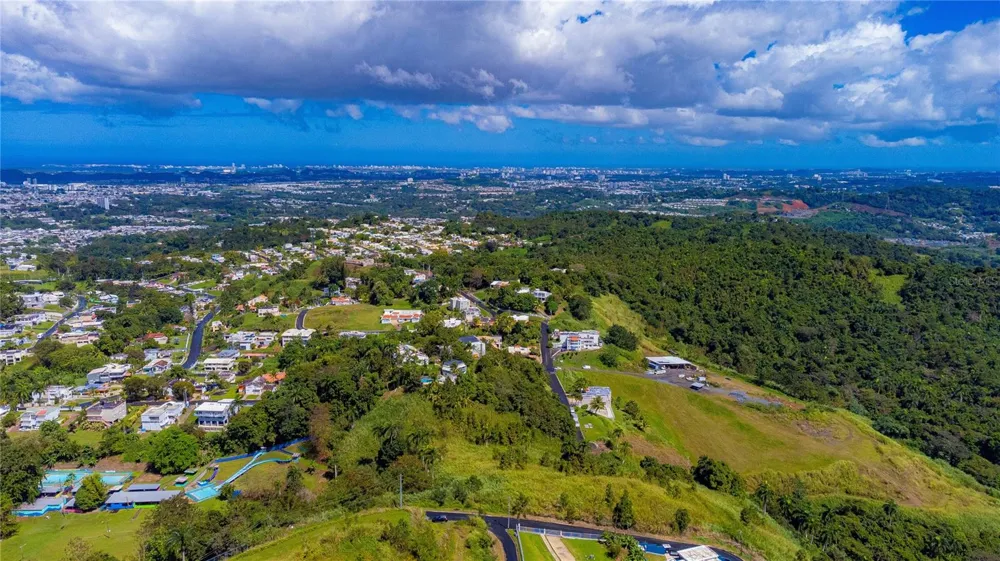 BO. MINILLAS CAMINO PABLO SILVA Bayamón, PR 00956