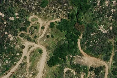Day Lane