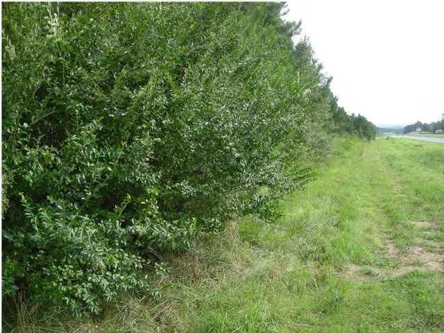 Hwy 27 Trion, GA 30753